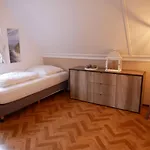 Semesterpark Buitenplaats 5-P *